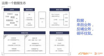 1207亿元背后 阿里数据生态首度曝光，揭示数据处理服务的核心价值